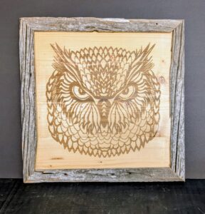 barnwood owl