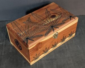 cannabox 1