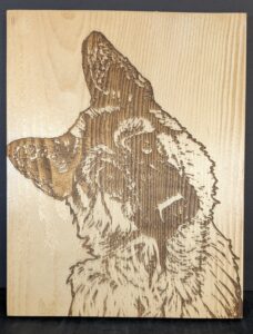 sheptilthead