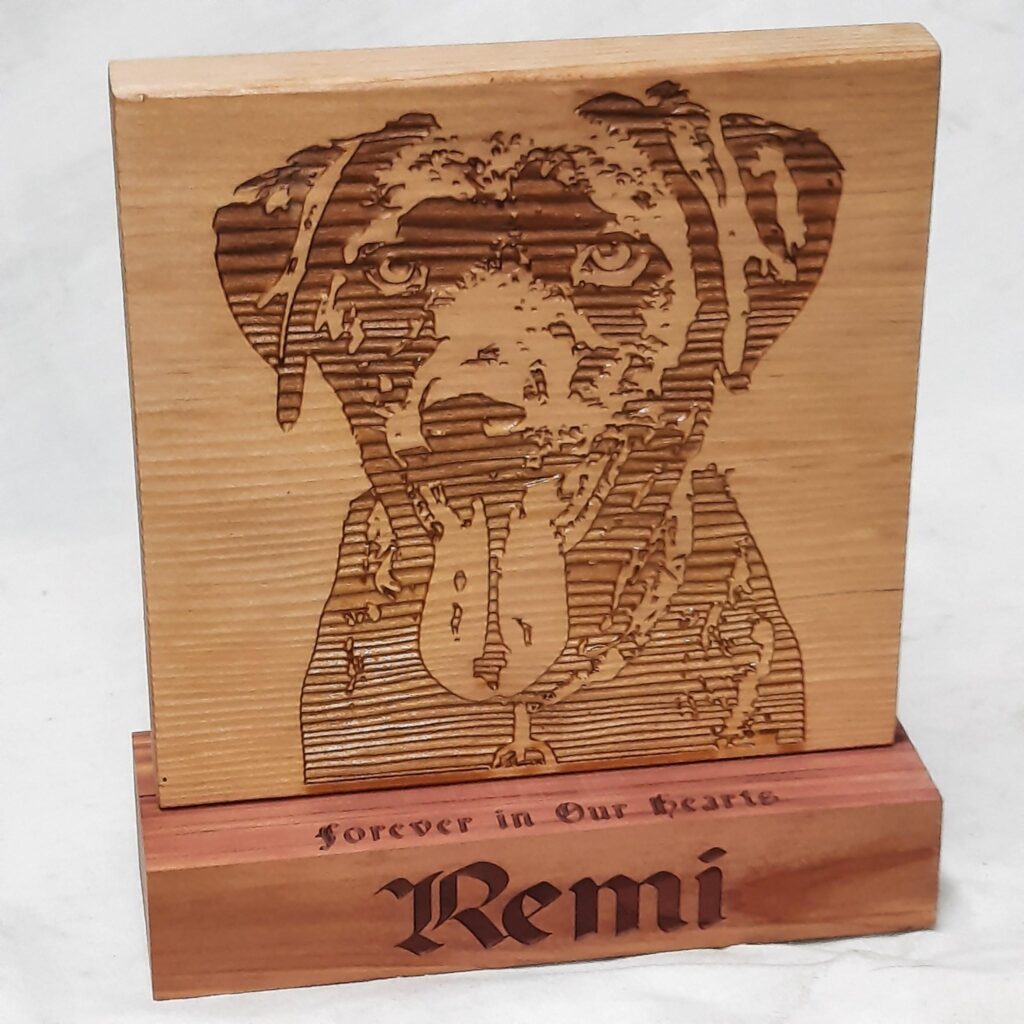 dogs remi
